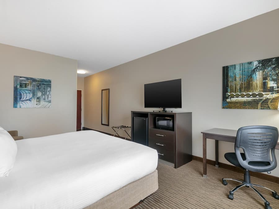 Standard Room, 1 King Bed, Non Smoking