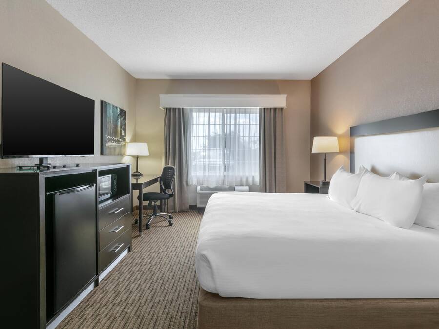 Hypo-allergenic bedding, desk, laptop workspace, blackout drapes