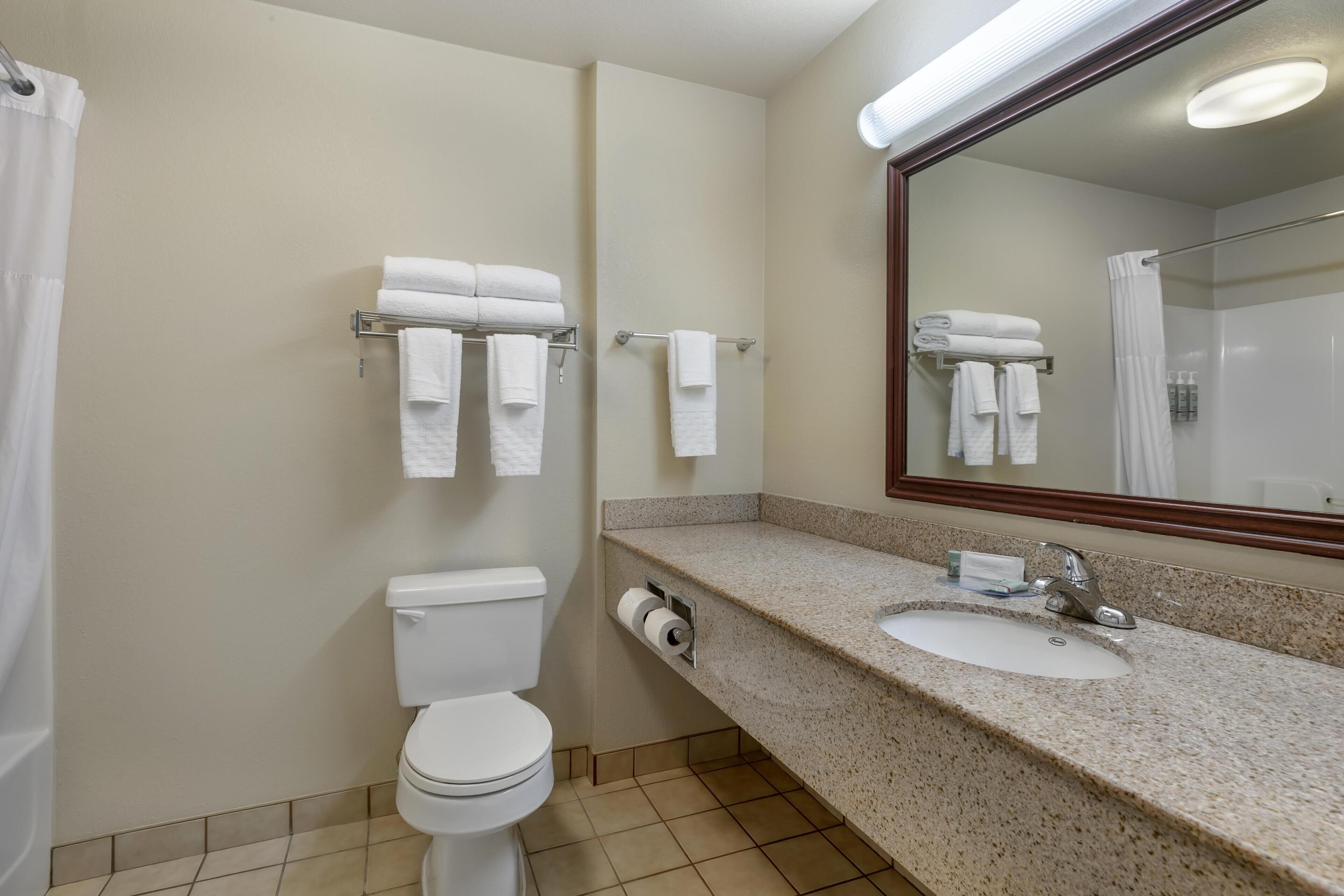 Un baño con inodoro, lavamanos, espejo y toallero.