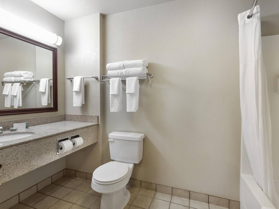 A bathroom with a sink, toilet, towel rack, and shower curtain.