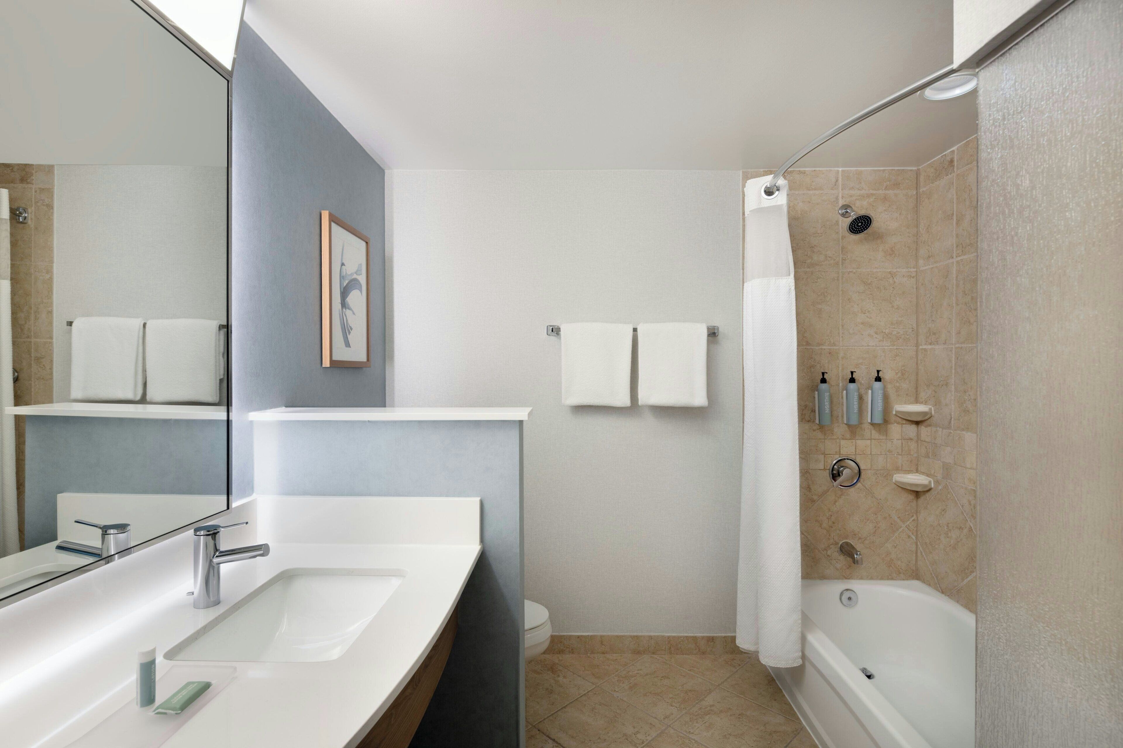 combined shower/bathtub, free toiletries, hair dryer, towels