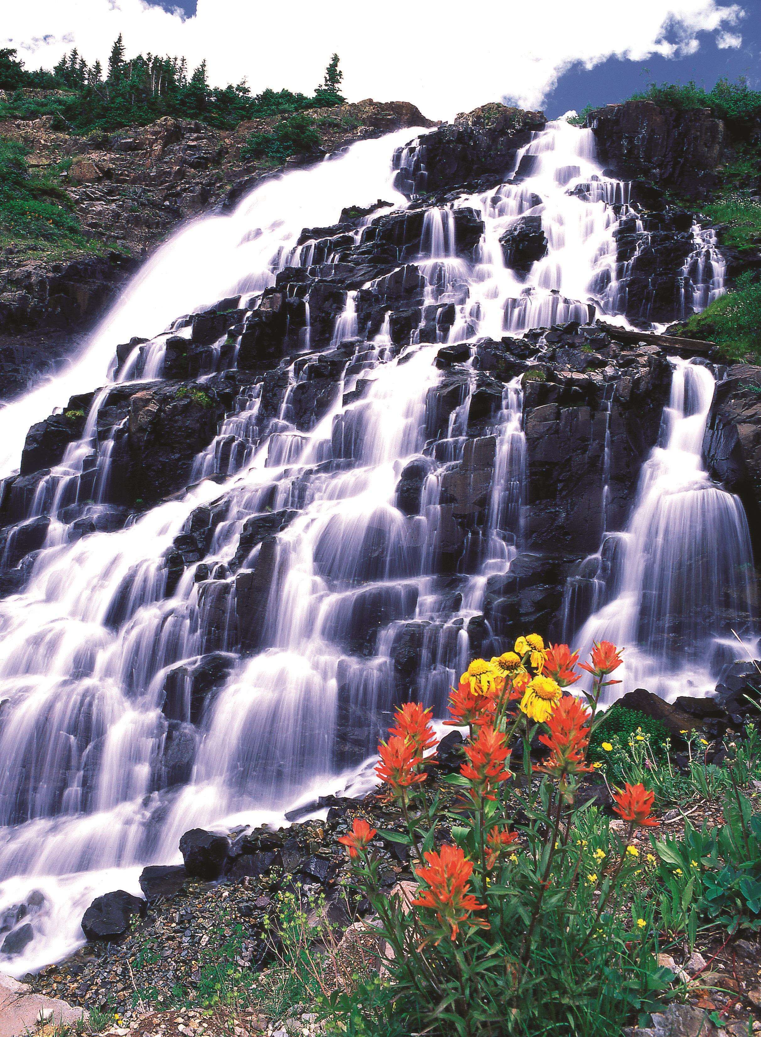 A waterfall cascading over rocky terrain with vibrant flowers in the foreground.