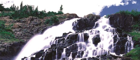 A waterfall cascading over rocky terrain with vibrant flowers in the foreground.