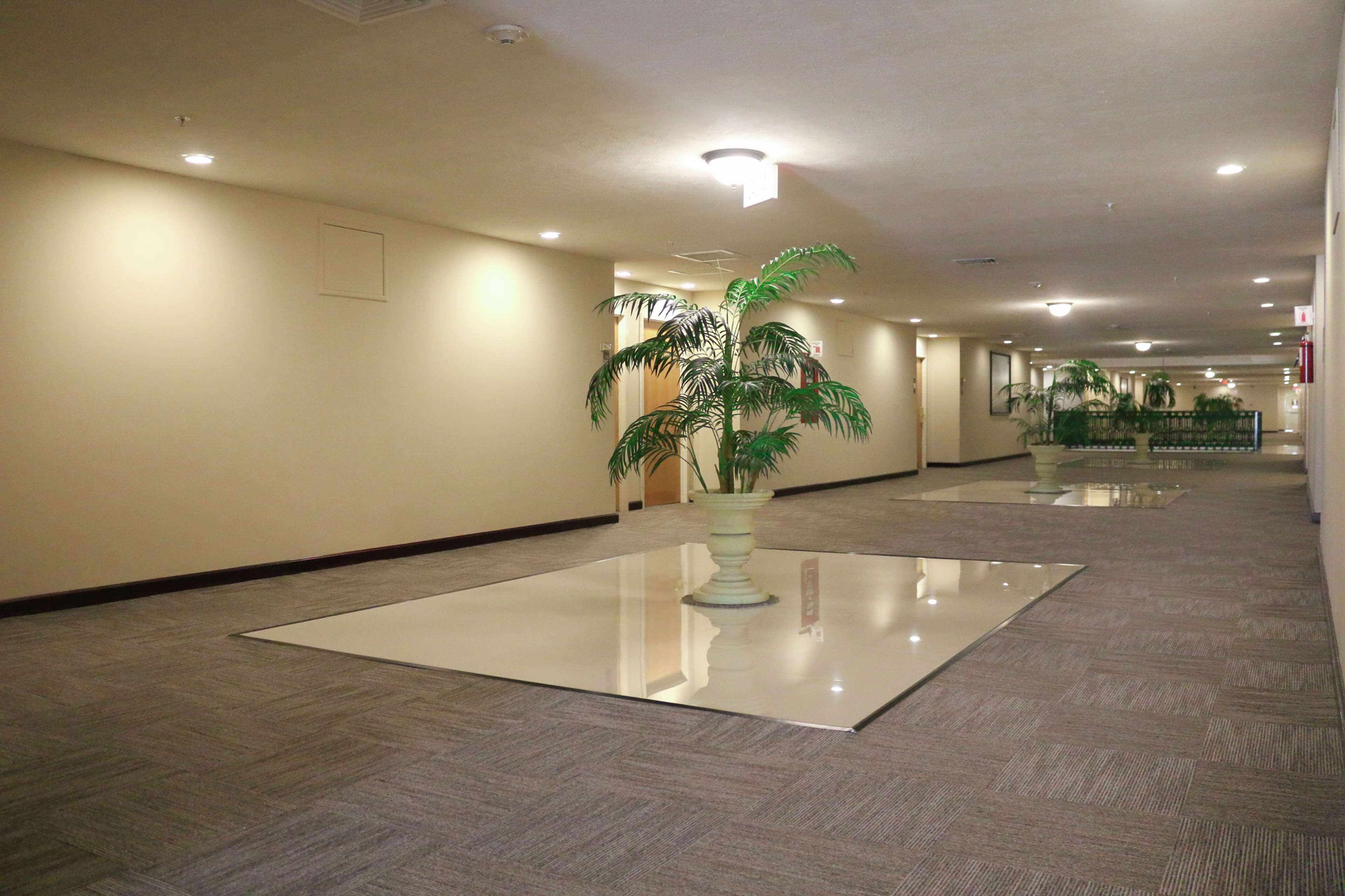 Photo - Hampton Inn Tampico Zona Dorada