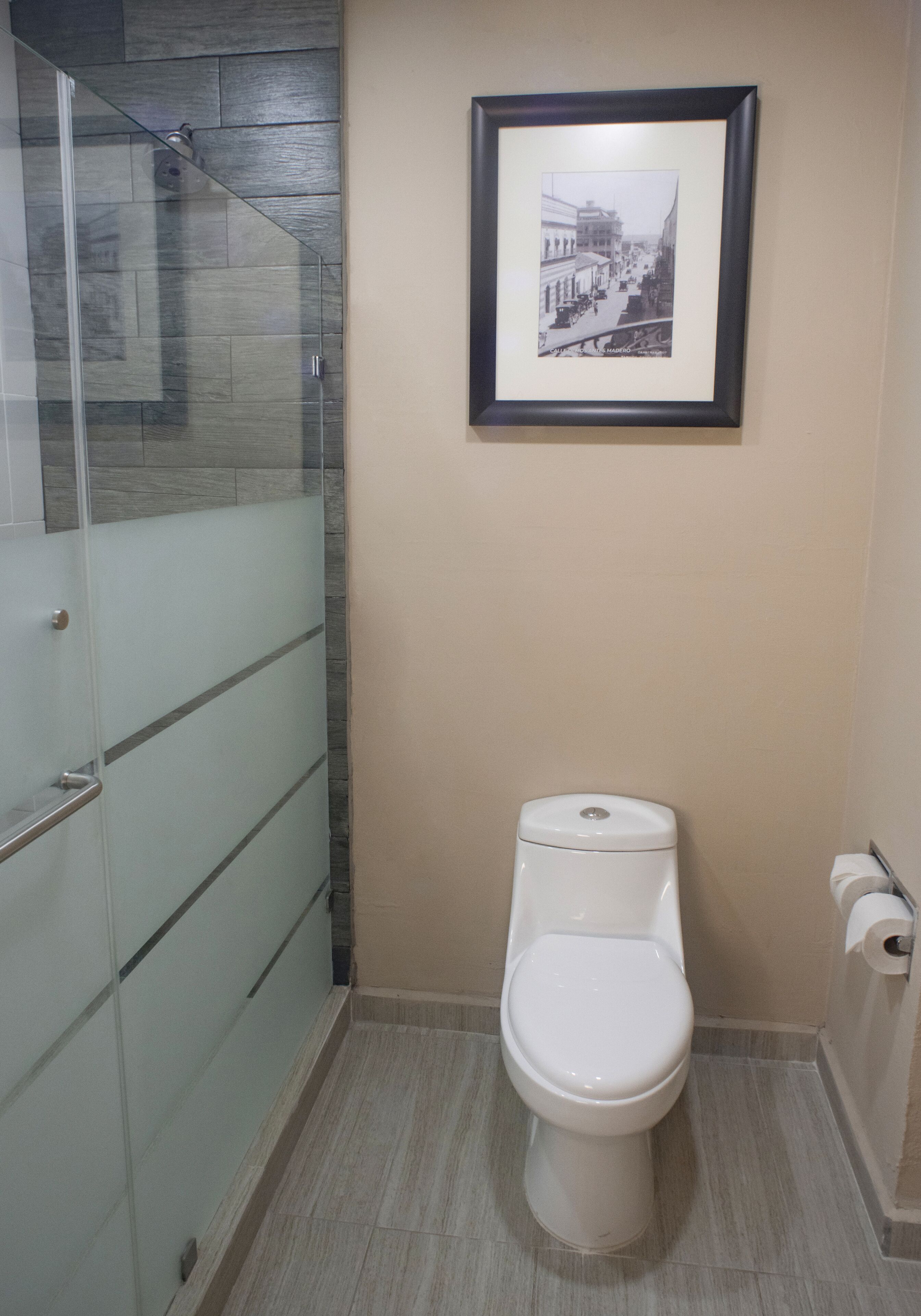 combined shower/bathtub, free toiletries, hair dryer, towels