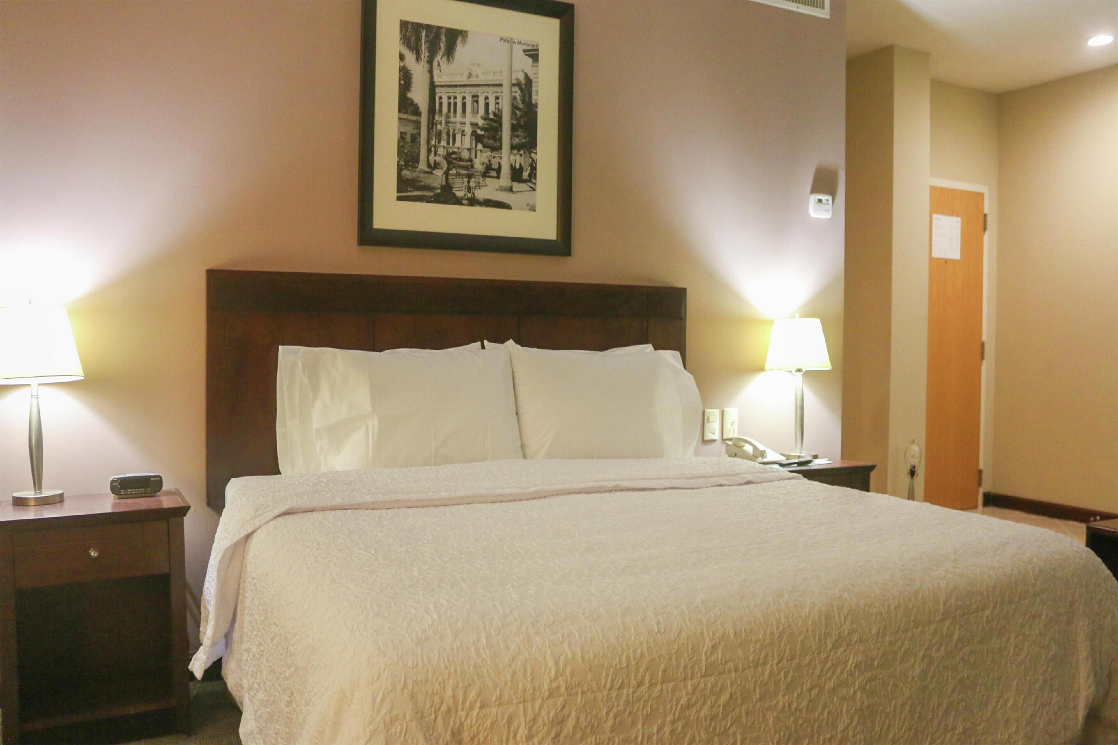 Habitación de hotel con una cama grande, dos mesitas de noche con lámparas, un cuadro en la pared y una puerta al fondo.