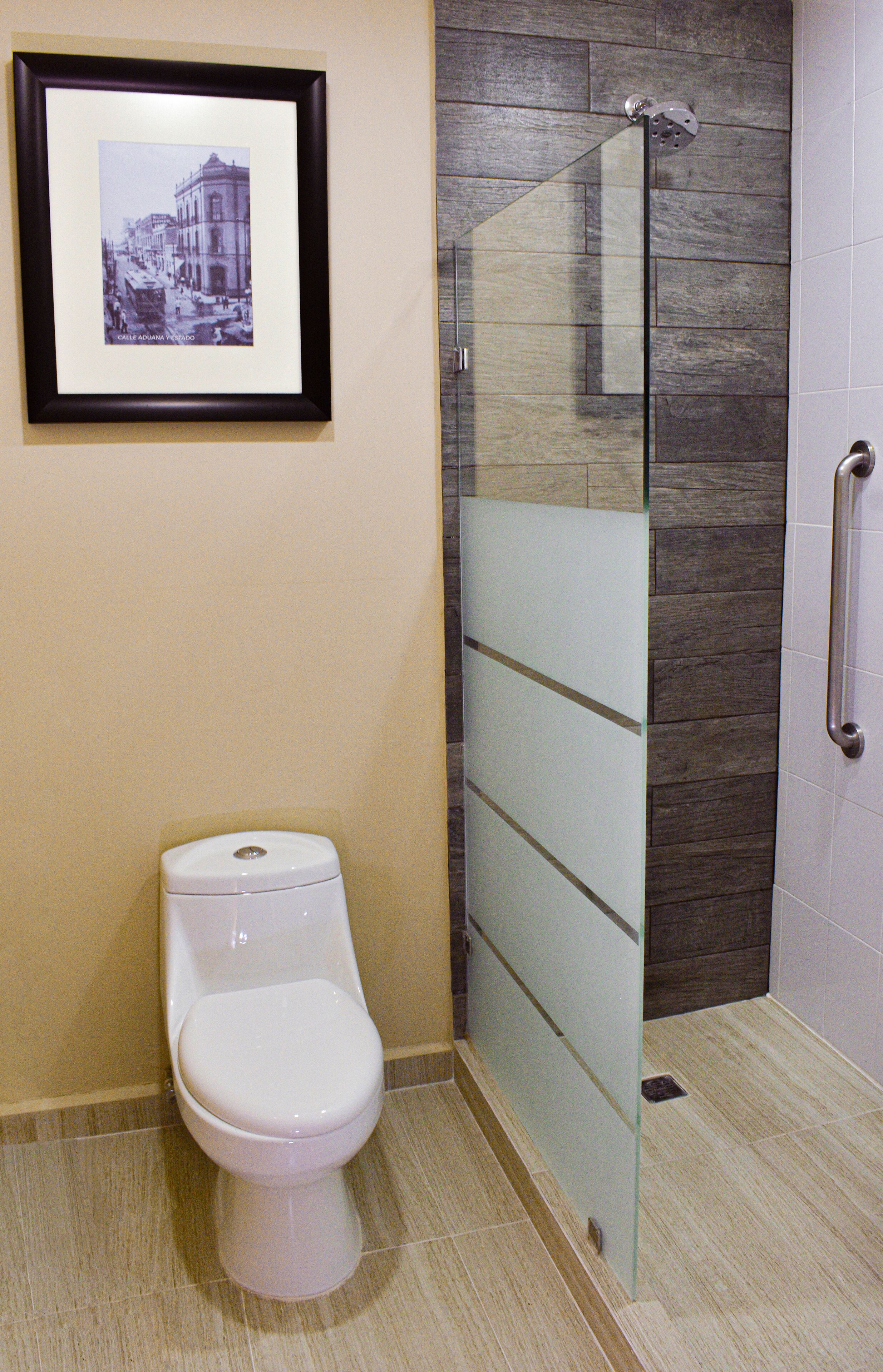 combined shower/bathtub, free toiletries, hair dryer, towels