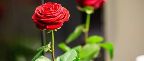 Una rosa roja en un jarrón con hojas verdes, sobre una superficie.