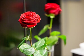 A single red rose in a vase with green leaves, placed on a surface.