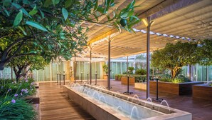 Un espacio al aire libre techado con fuente de agua, piso de madera y plantas en macetas.