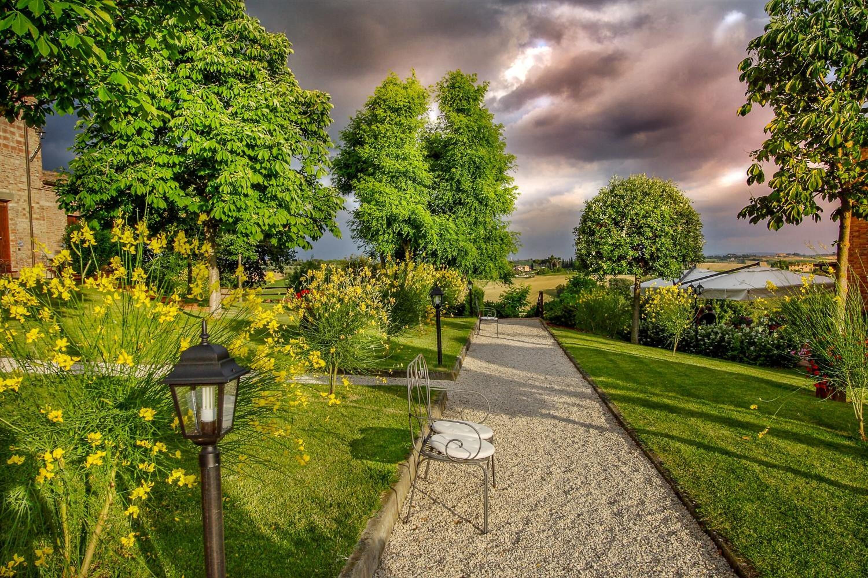 Un vialetto in giardino con una panchina, circondato da vegetazione rigogliosa e piante fiorite.