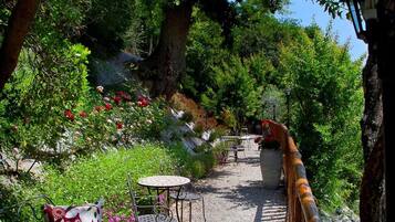 A garden pathway with seating, a large tree, and a decorative fence.