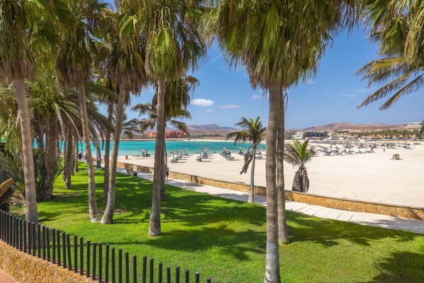 Una playa con palmeras, un muro de piedra y un cielo azul despejado.