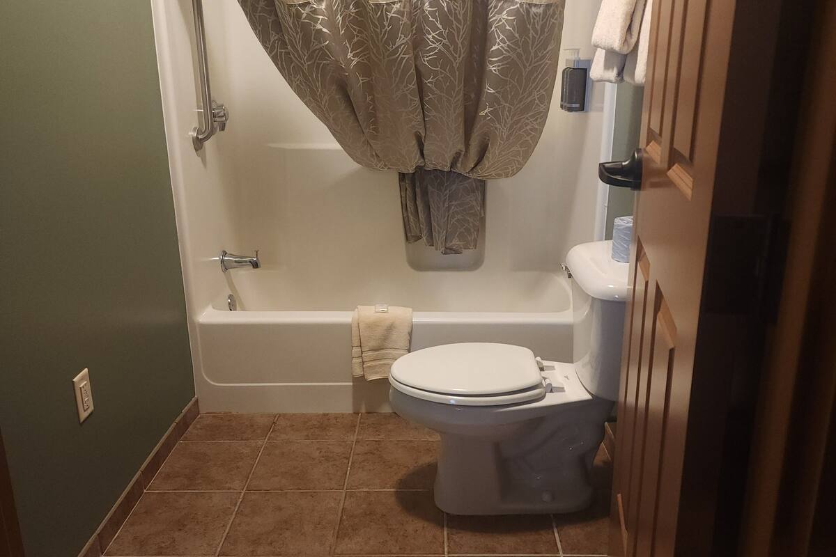 free toiletries, hair dryer, towels