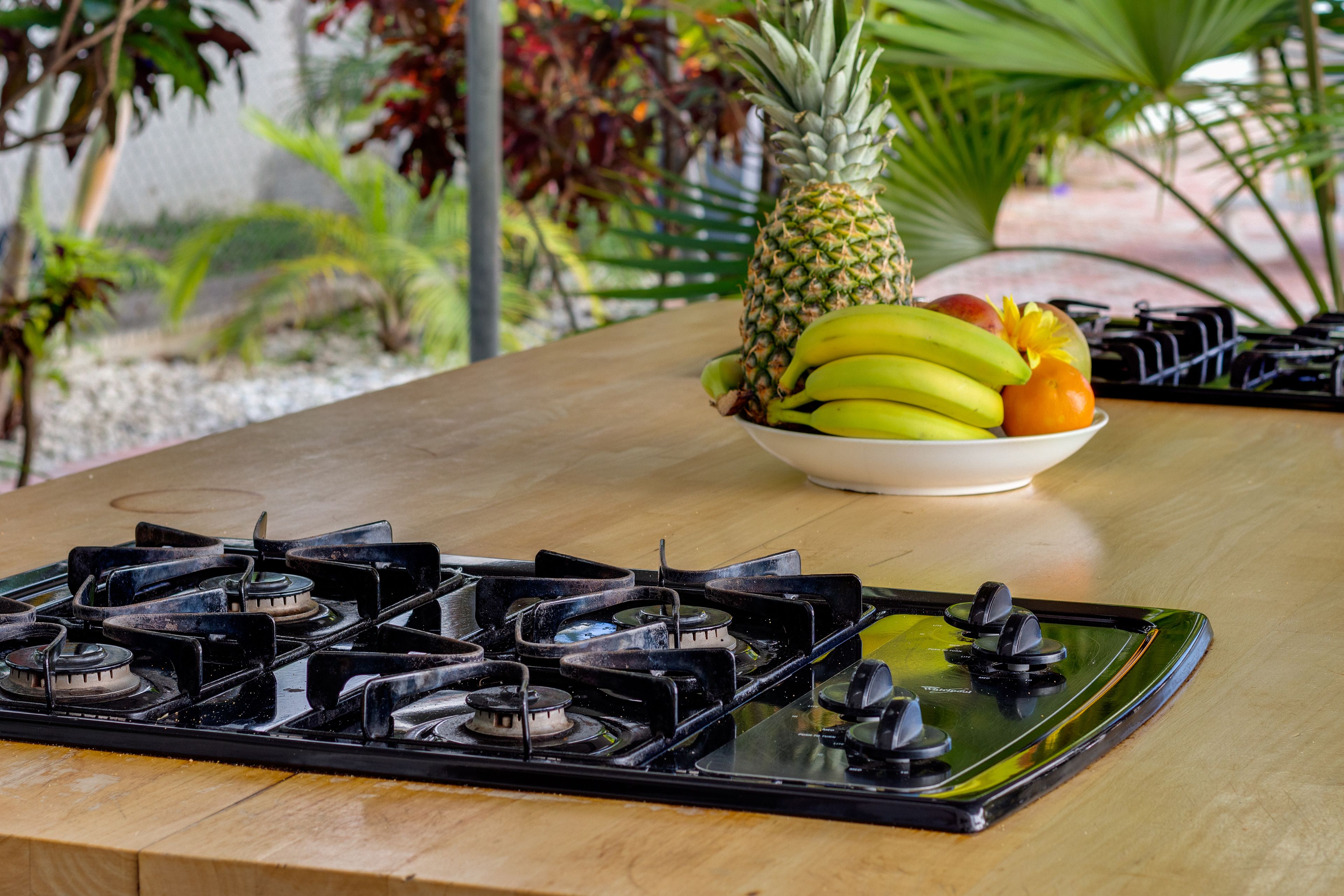 Photo - Tropics Hotel Miami Beach