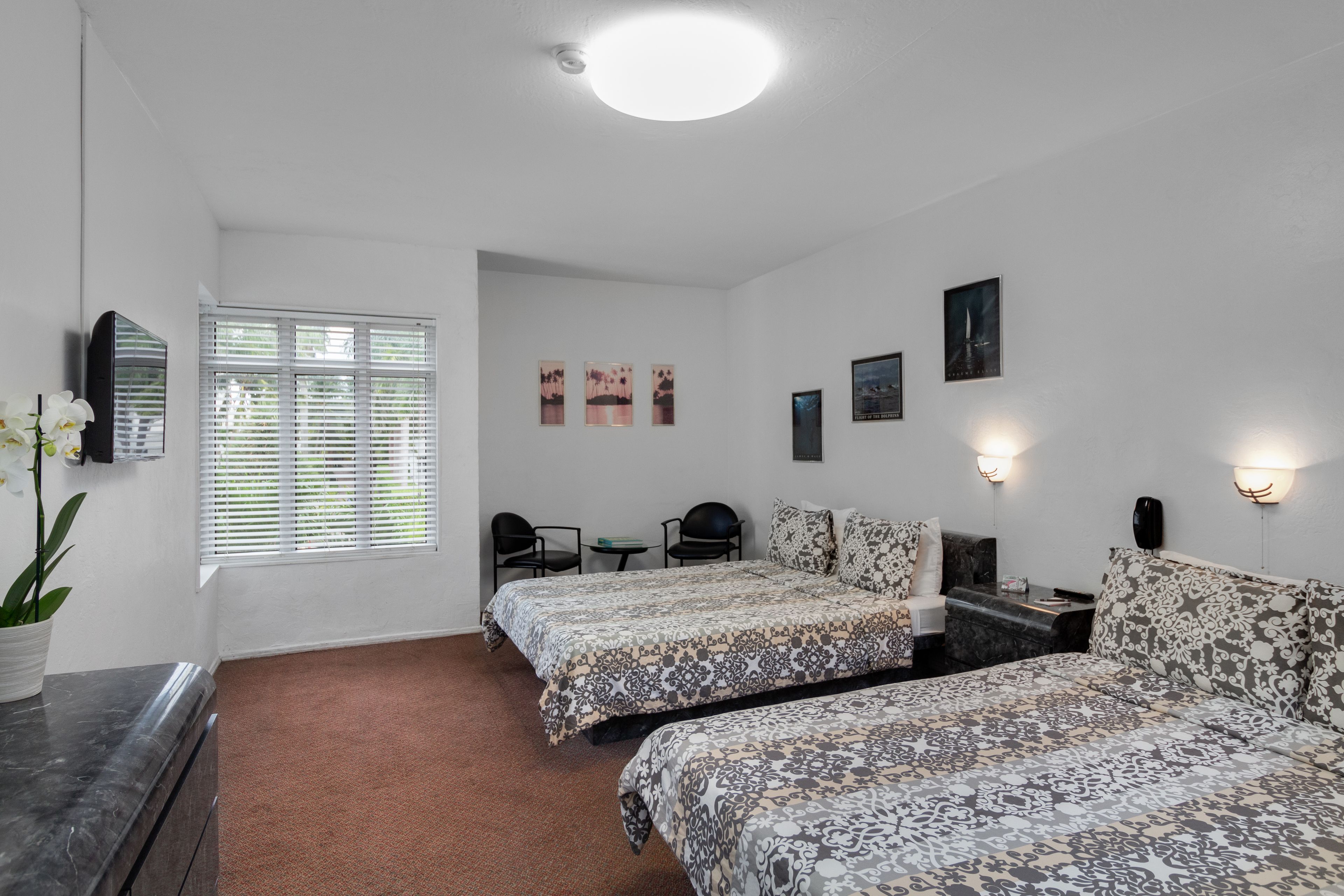 Photo - Tropics Hotel Miami Beach