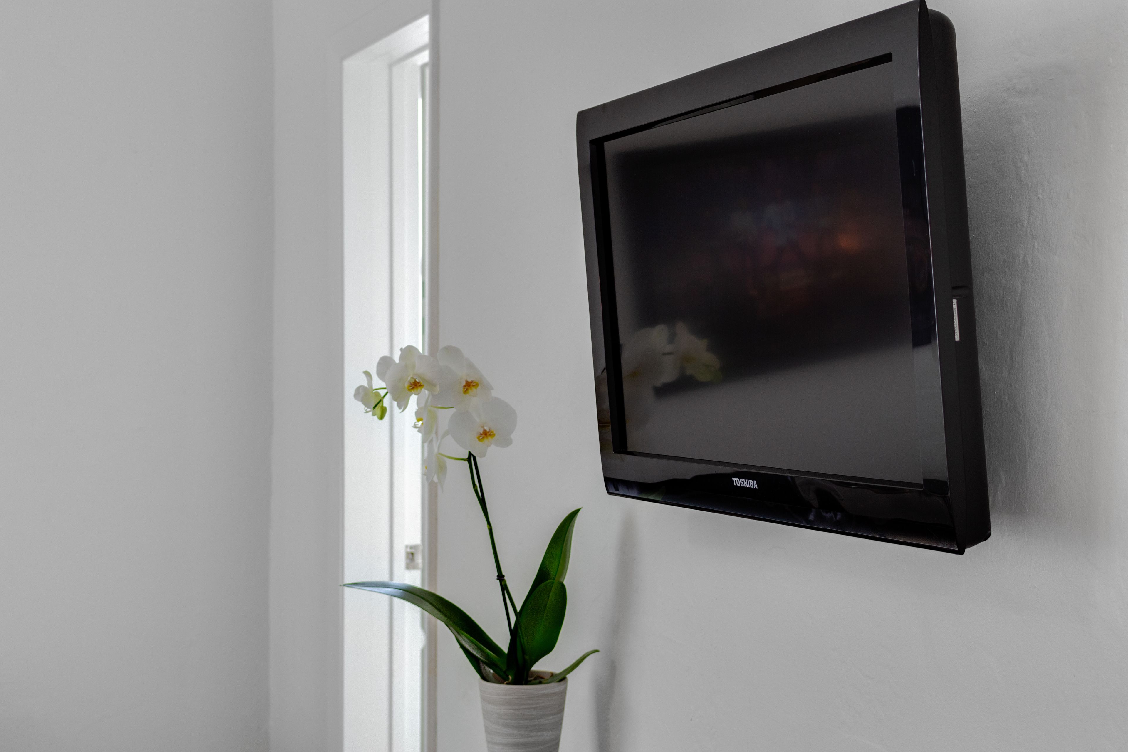 Photo - Tropics Hotel Miami Beach