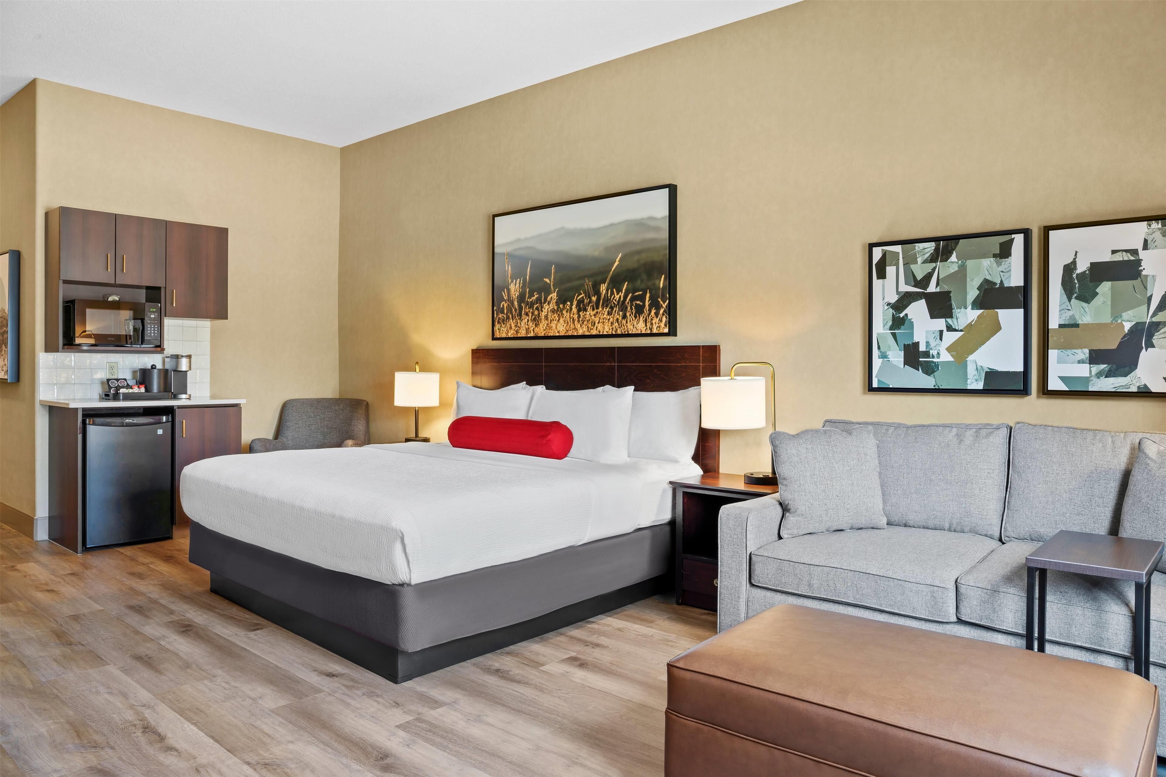 A hotel room with a bed, a sofa, a small table, a desk with a computer, a microwave, and a refrigerator.
