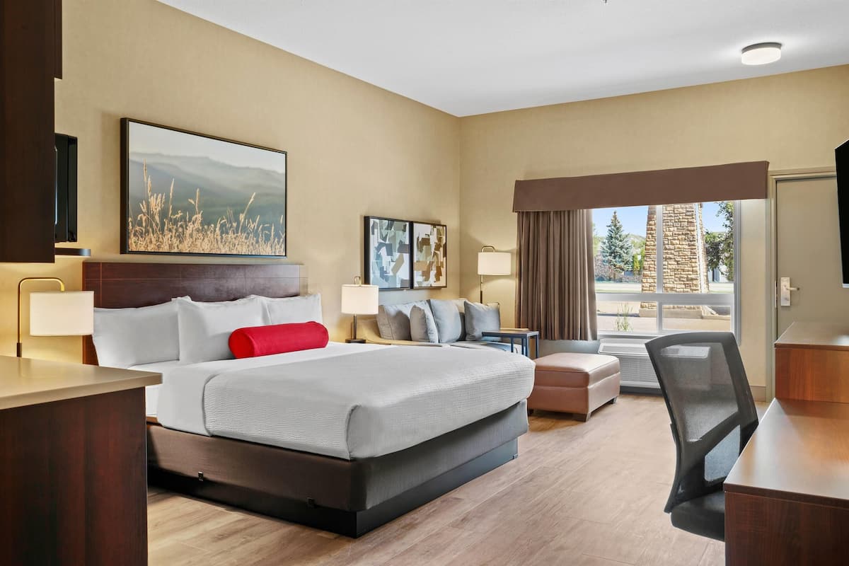 Habitación de hotel con una cama grande, un escritorio, una silla, un televisor y una ventana con vistas a árboles y un edificio.