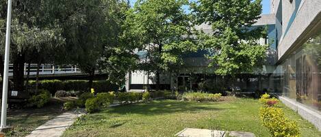 A courtyard with a grassy area, a pathway, and a building with large windows.