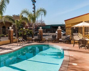 A swimming pool with lounge chairs and umbrellas, surrounded by palm trees and a gated fence.
