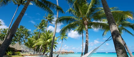 A hammock between palm trees on a beach with overwater bungalows in the background.