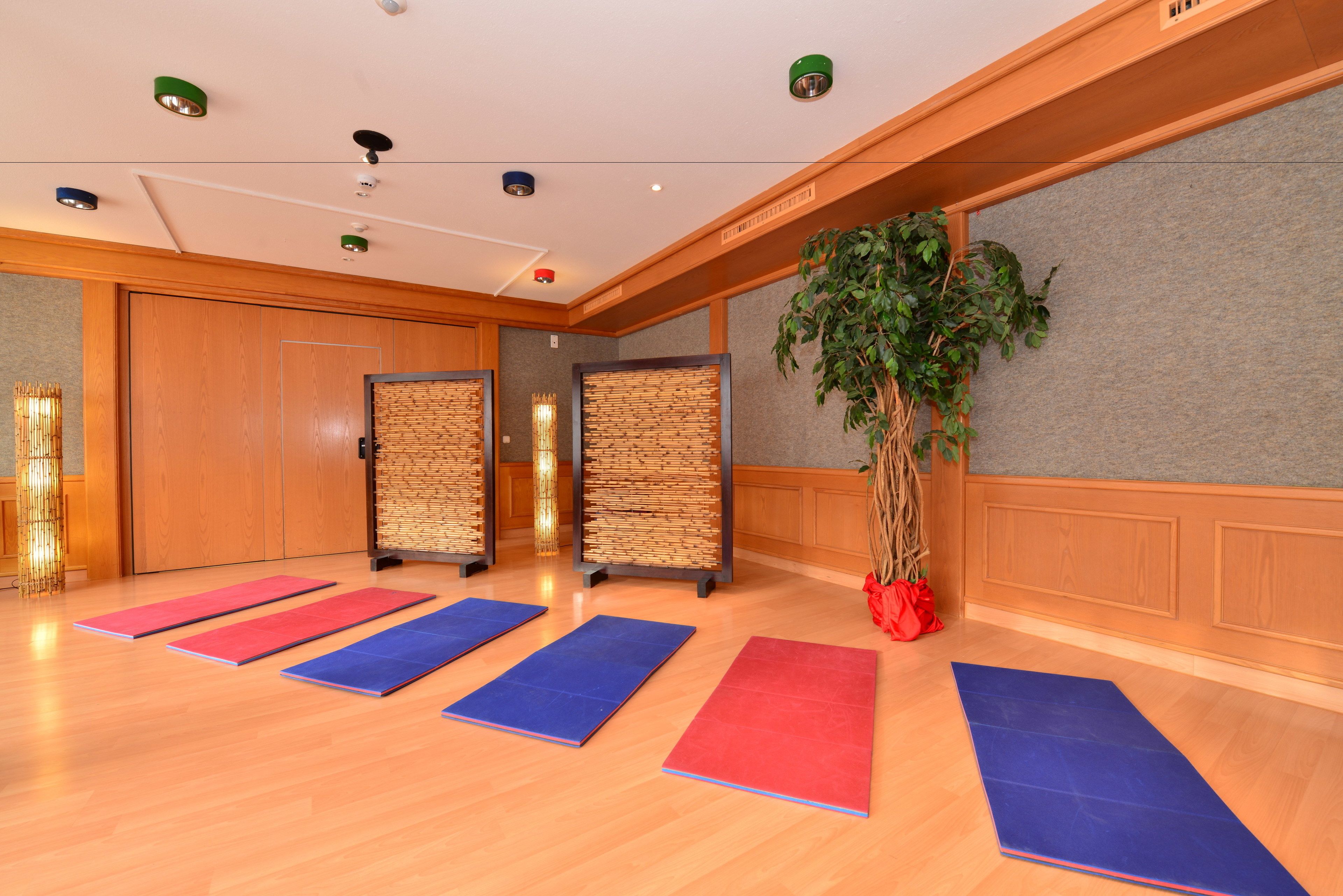 A spacious room with wooden flooring, exercise mats, a large potted plant, and a wall-mounted screen.