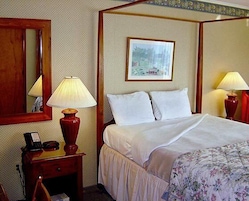 Basic Room, 1 Queen Bed