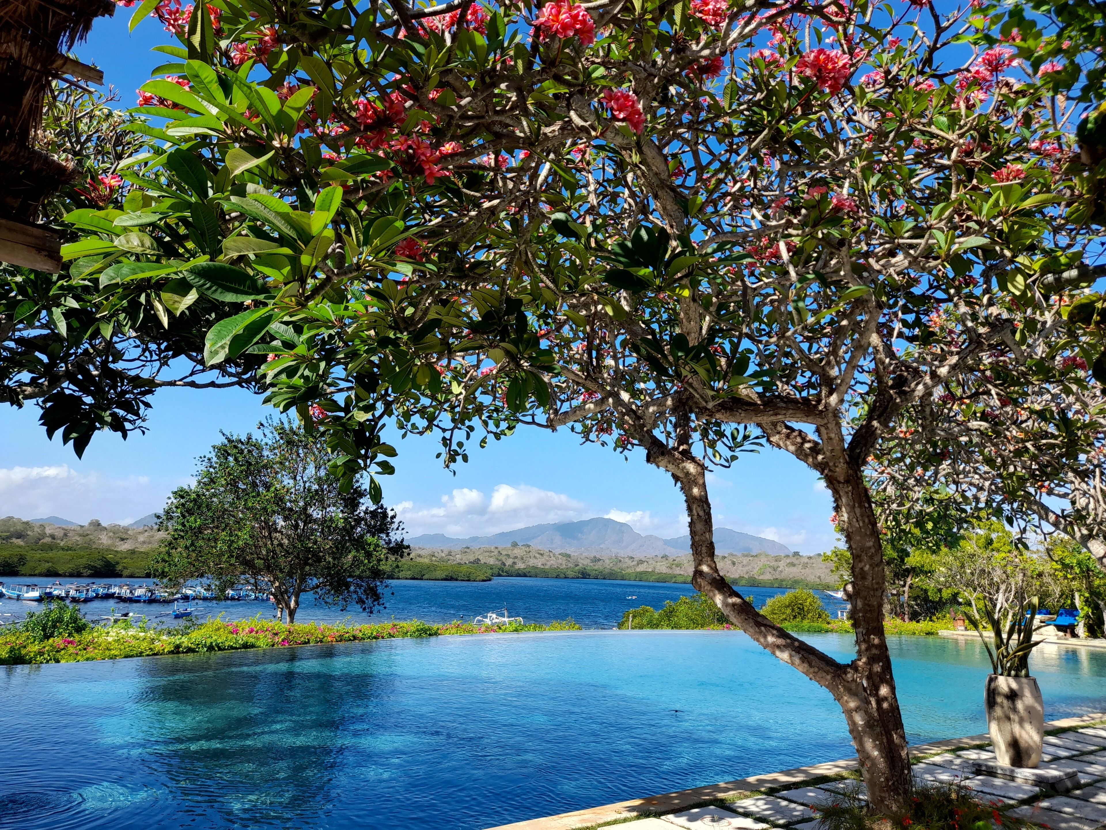 A clear view of a swimming pool with a tree in the foreground, a mountain range in the background, and boats on the water.