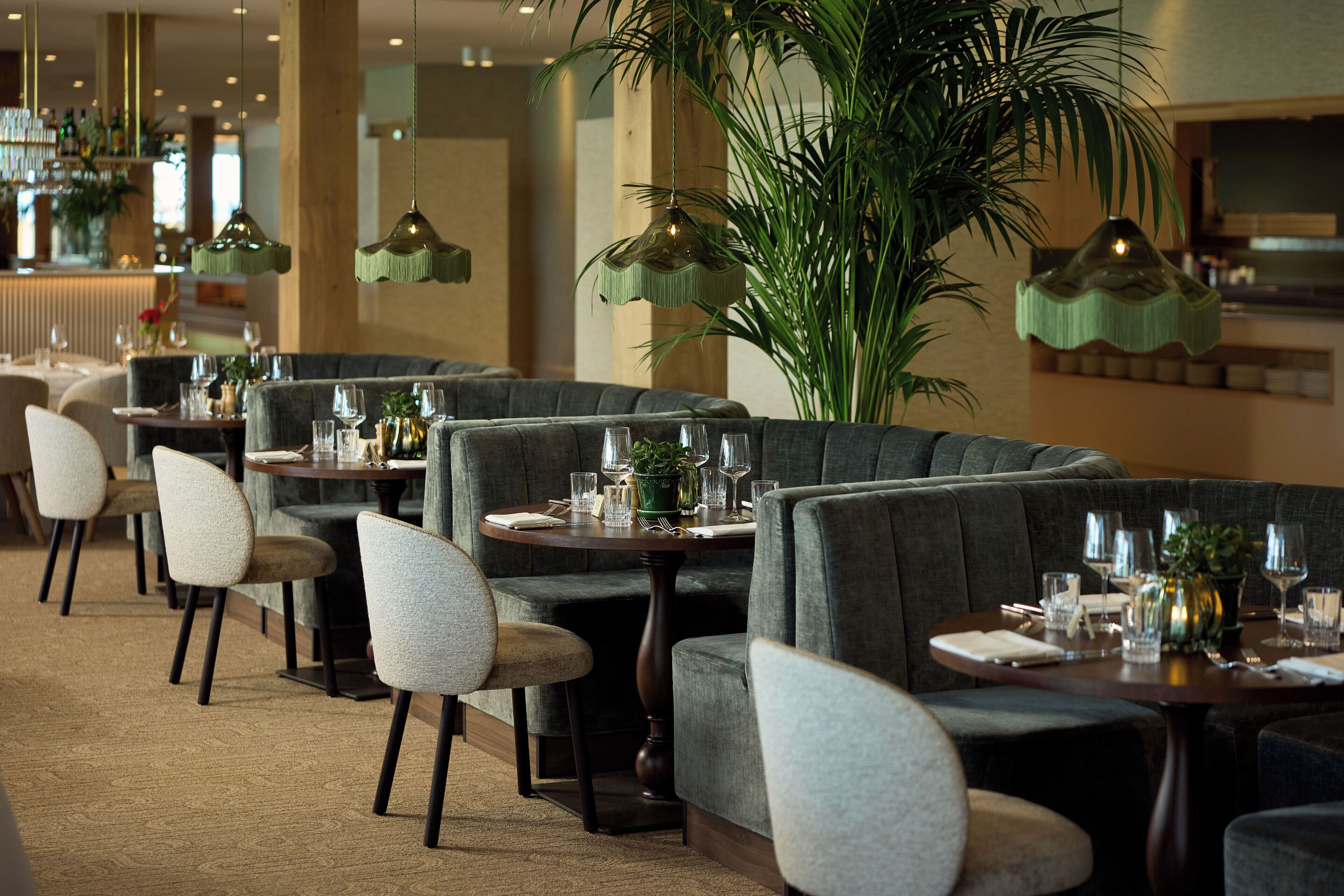 Un restaurante con varios reservados, cada uno con una mesa, sillas y una pequeña planta.