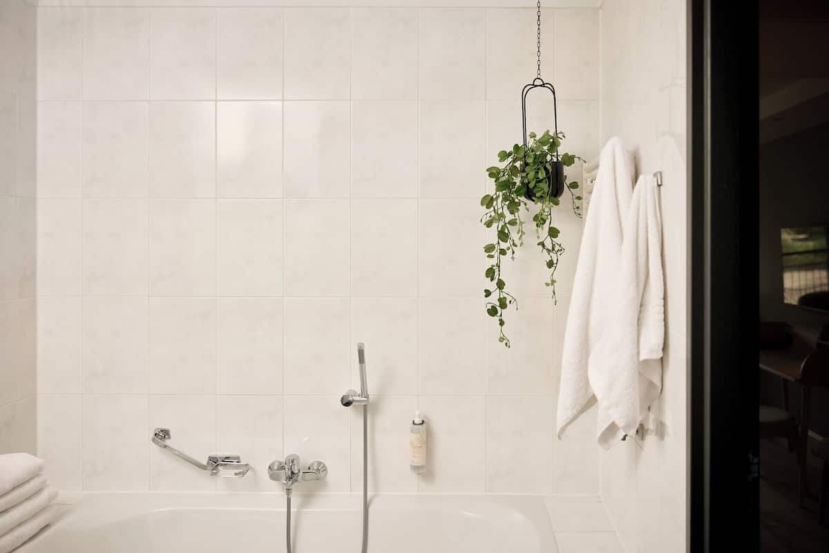 separate bathtub and shower, rainfall showerhead, free toiletries