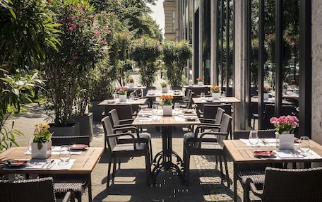 An outdoor dining area with tables and chairs, surrounded by potted plants and trees.