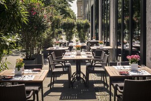 An outdoor dining area with tables and chairs, surrounded by potted plants and trees.