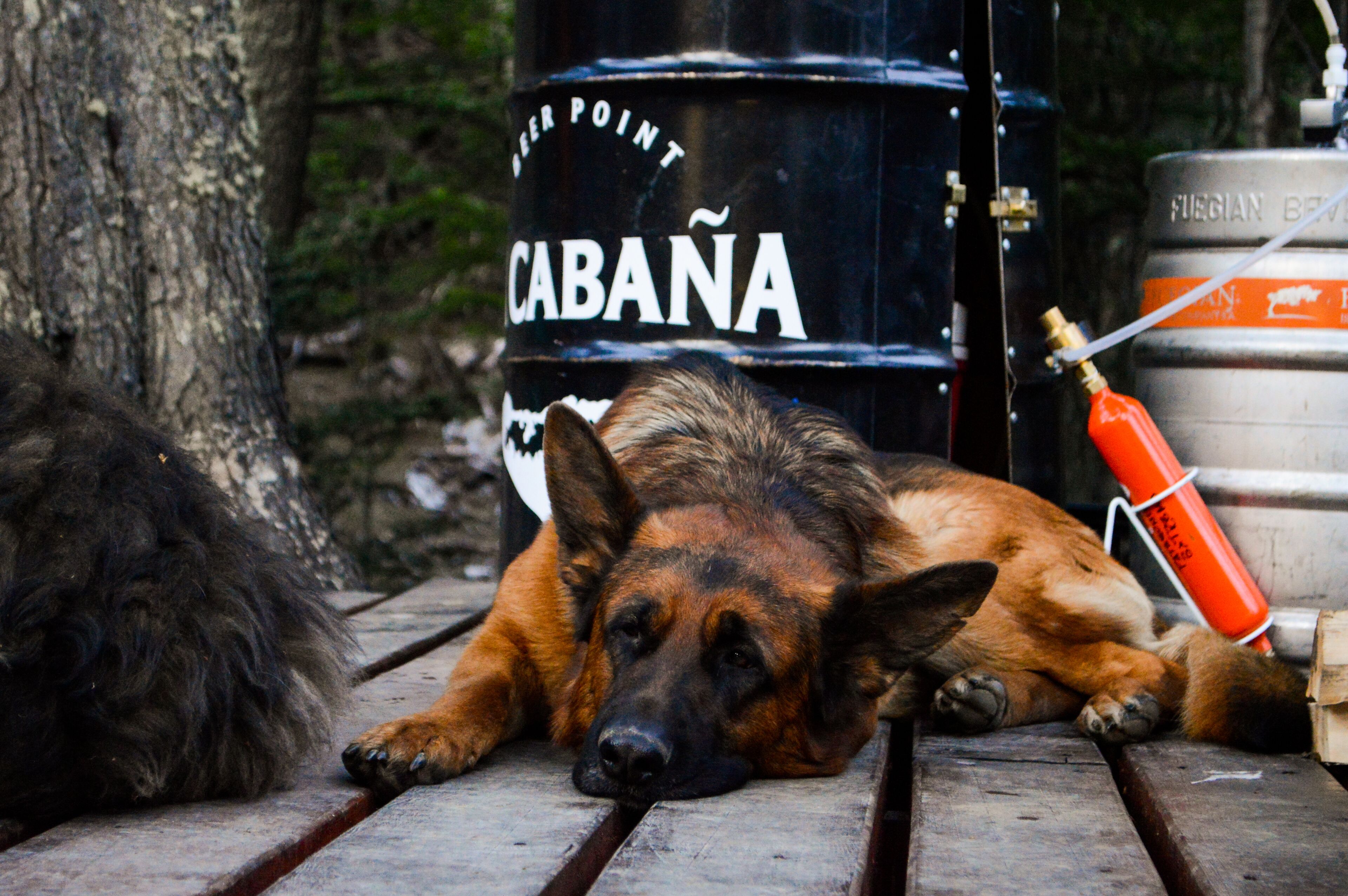 breakfast, lunch and dinner served