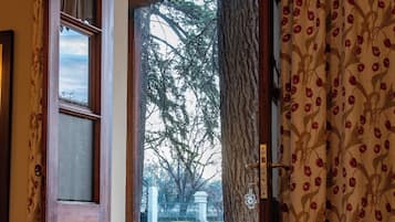 Una puerta de madera abierta que da a un espacio exterior con un árbol y un césped.