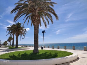 Une promenade en bord de mer, bordée de palmiers, avec un sentier pavé et une vue sur la mer.