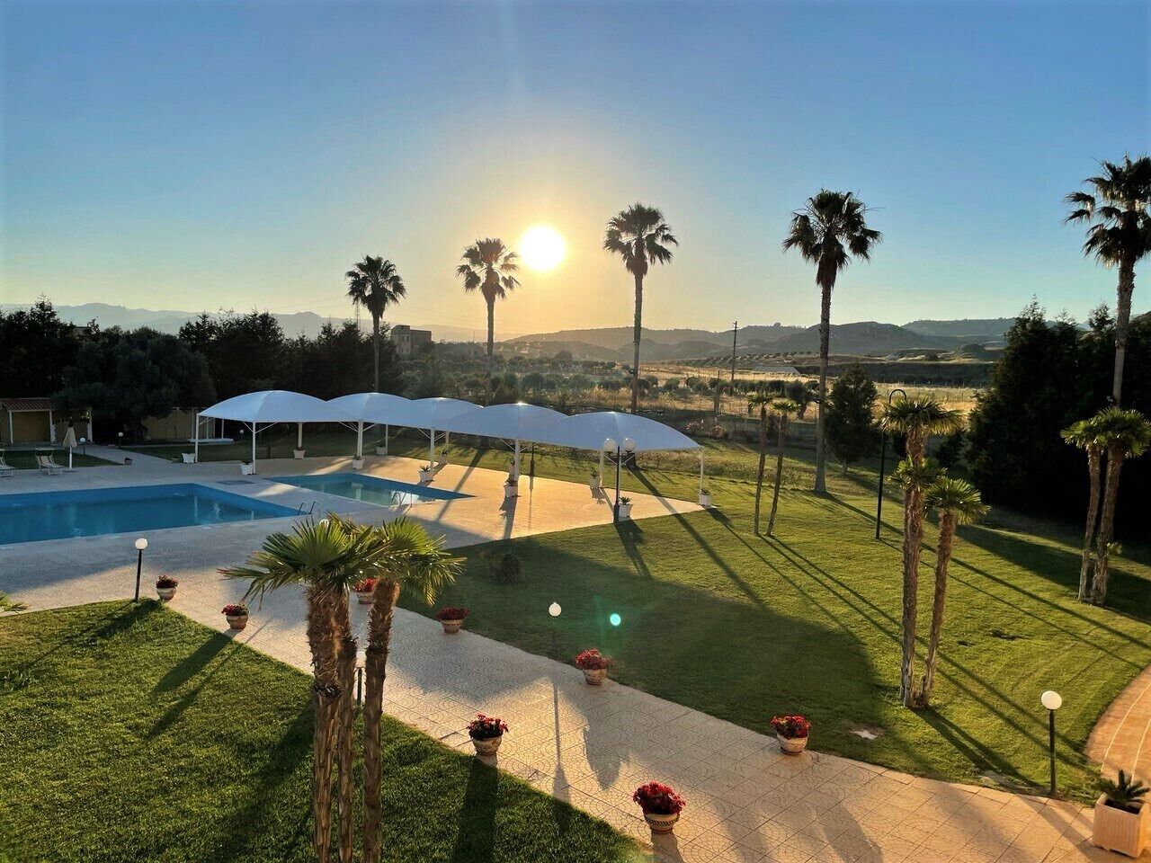 A pool area with umbrellas, palm trees, and a clear sky.