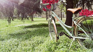Una bicicleta antigua con canasta y flores, estacionada en un área verde con árboles al fondo.