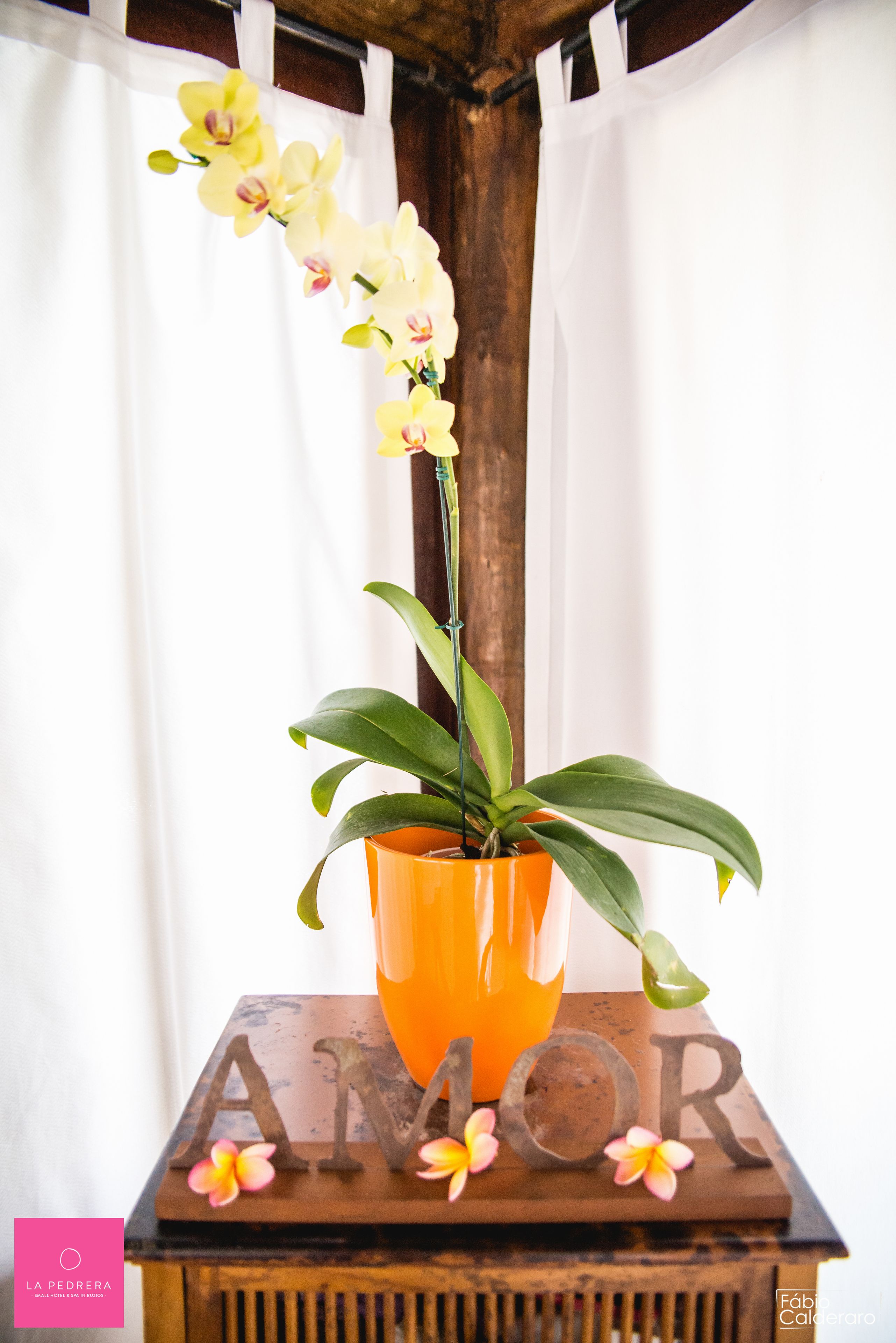 Foto - La Pedrera Small Hotel & Spa