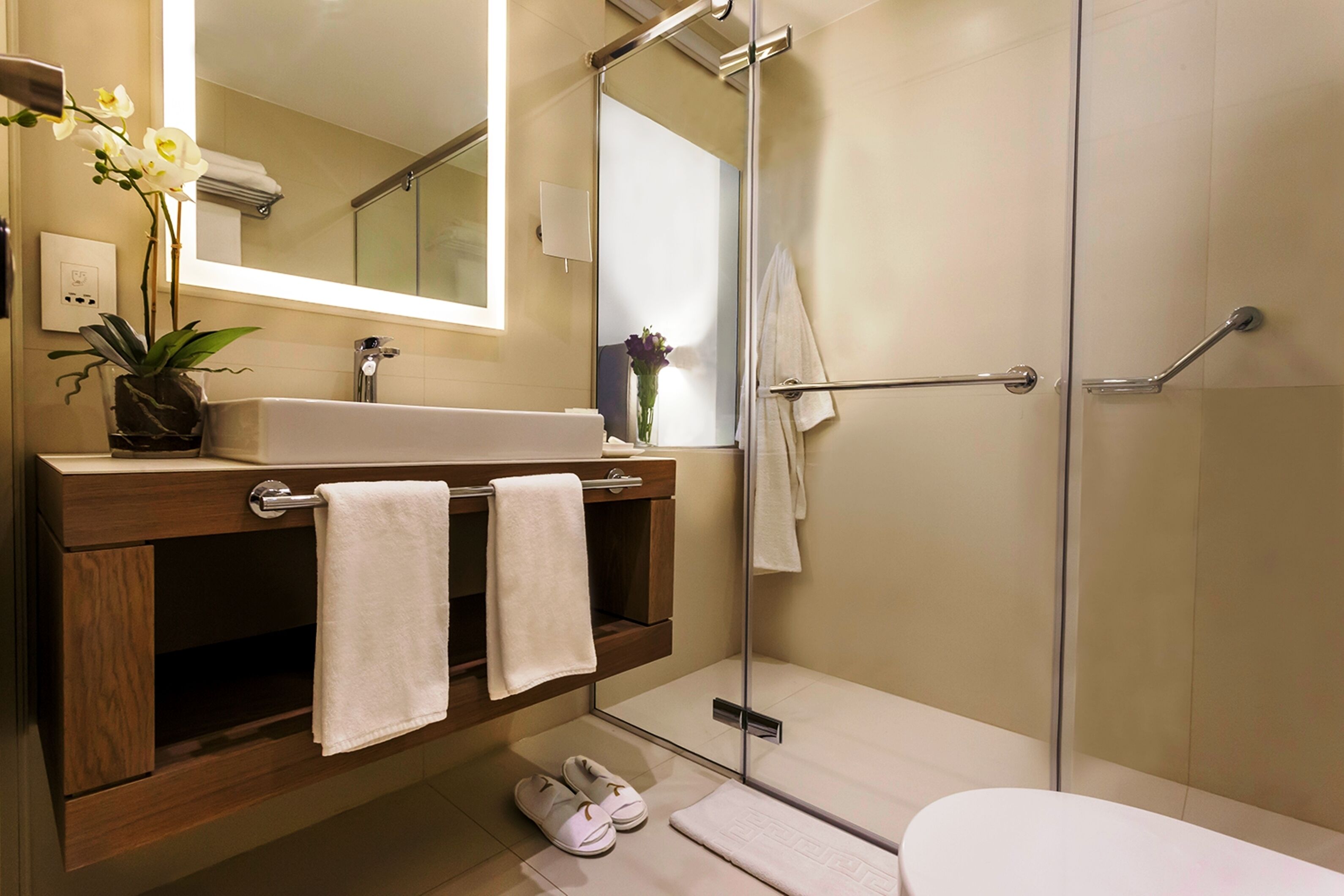 deluxe room | bathroom shower