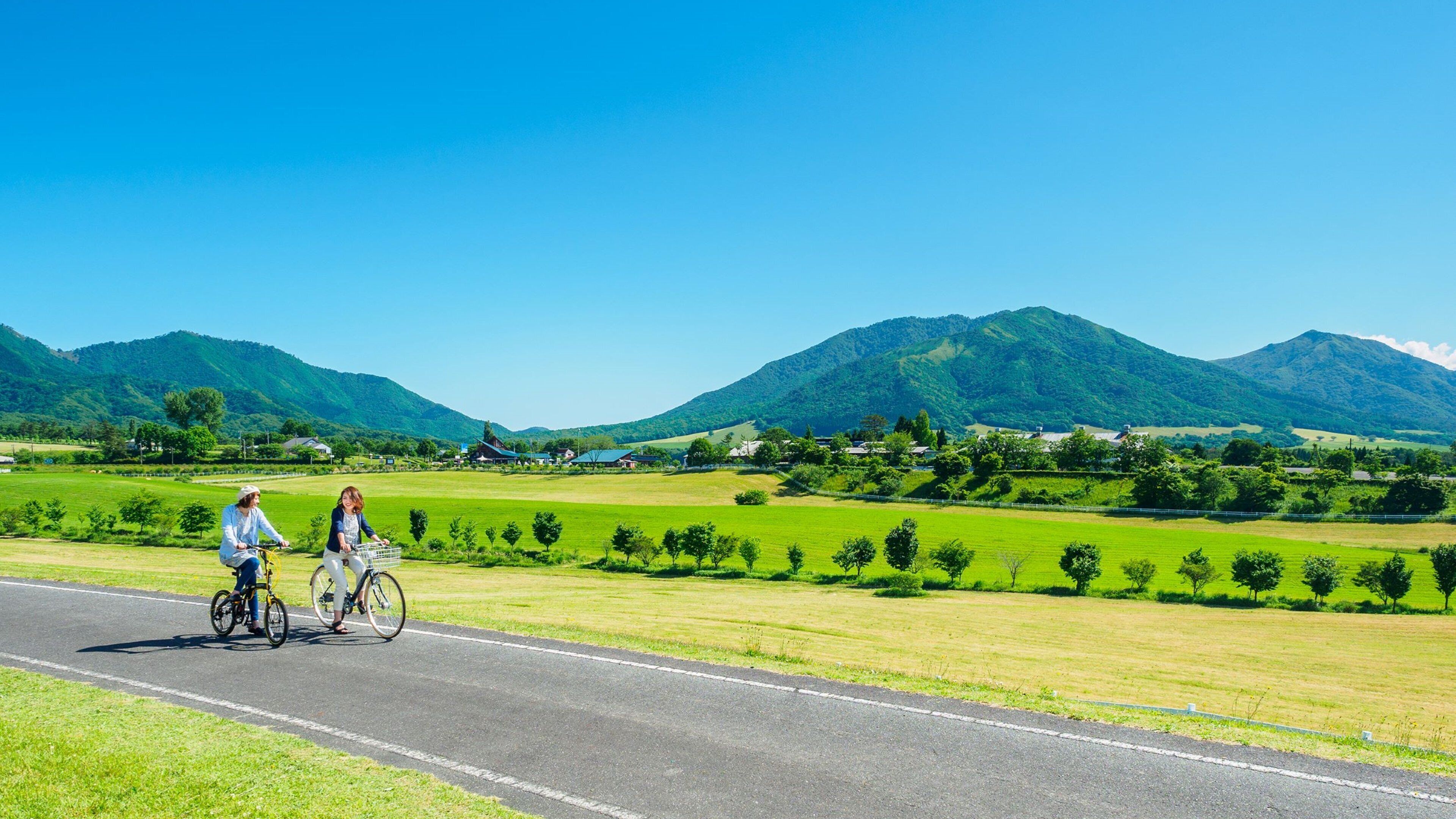 Un camino rural con ciclistas, campos verdes y montañas al fondo.