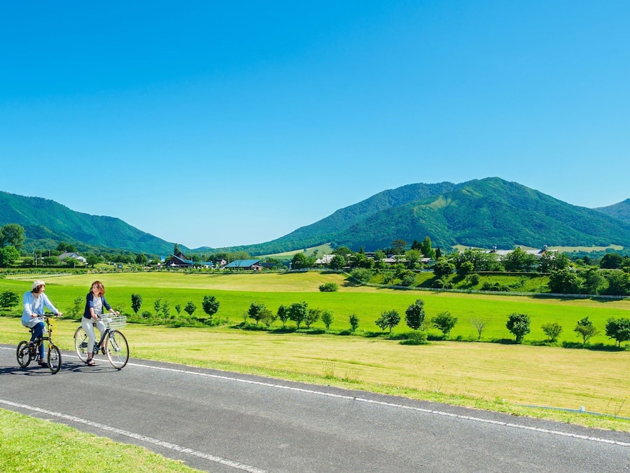 Une route de campagne bordée de cyclistes, avec des champs verdoyants et des montagnes en arrière-plan.