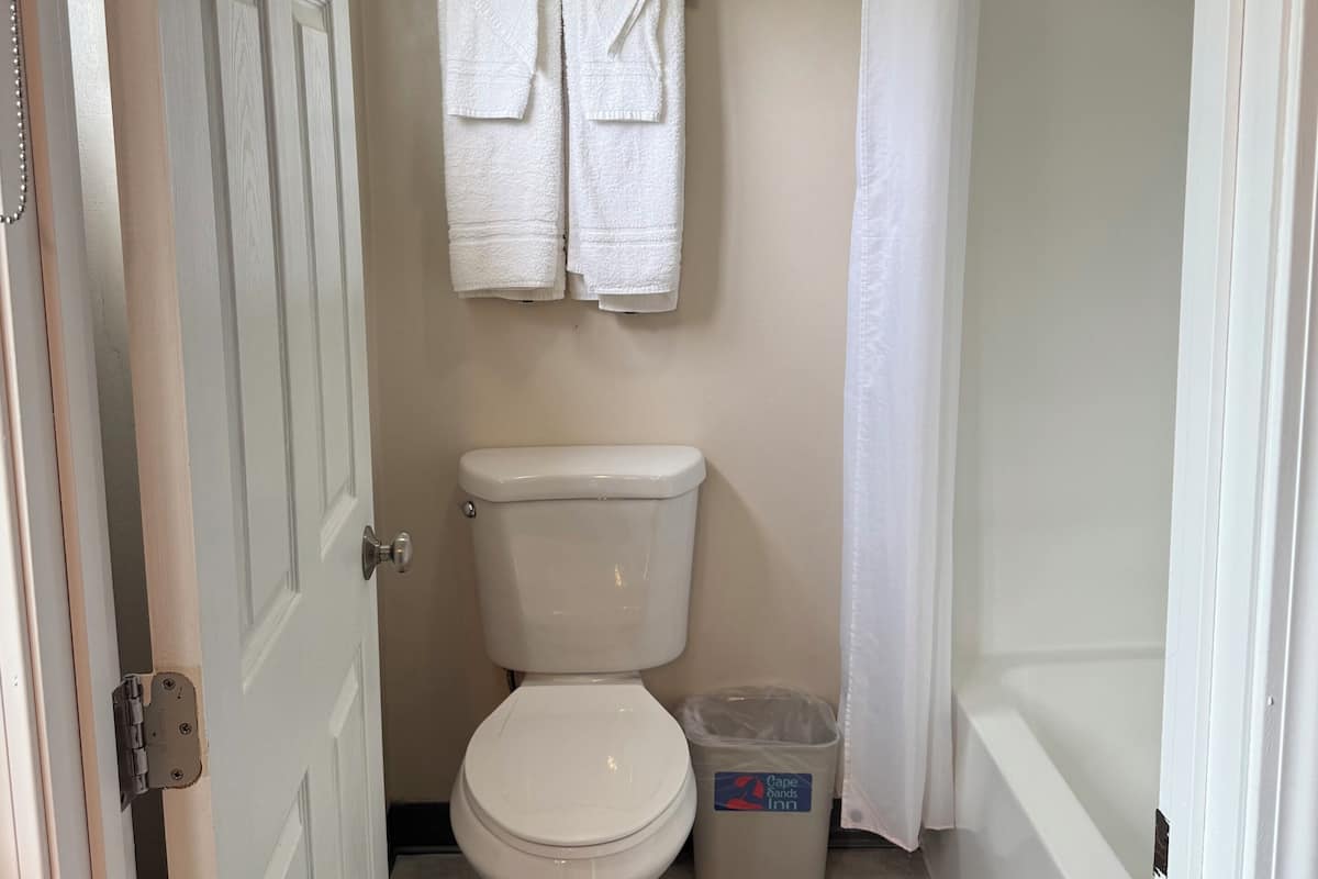 Standard Room, 2 Double Beds | Bathroom | Combined shower/tub, free toiletries, hair dryer, towels