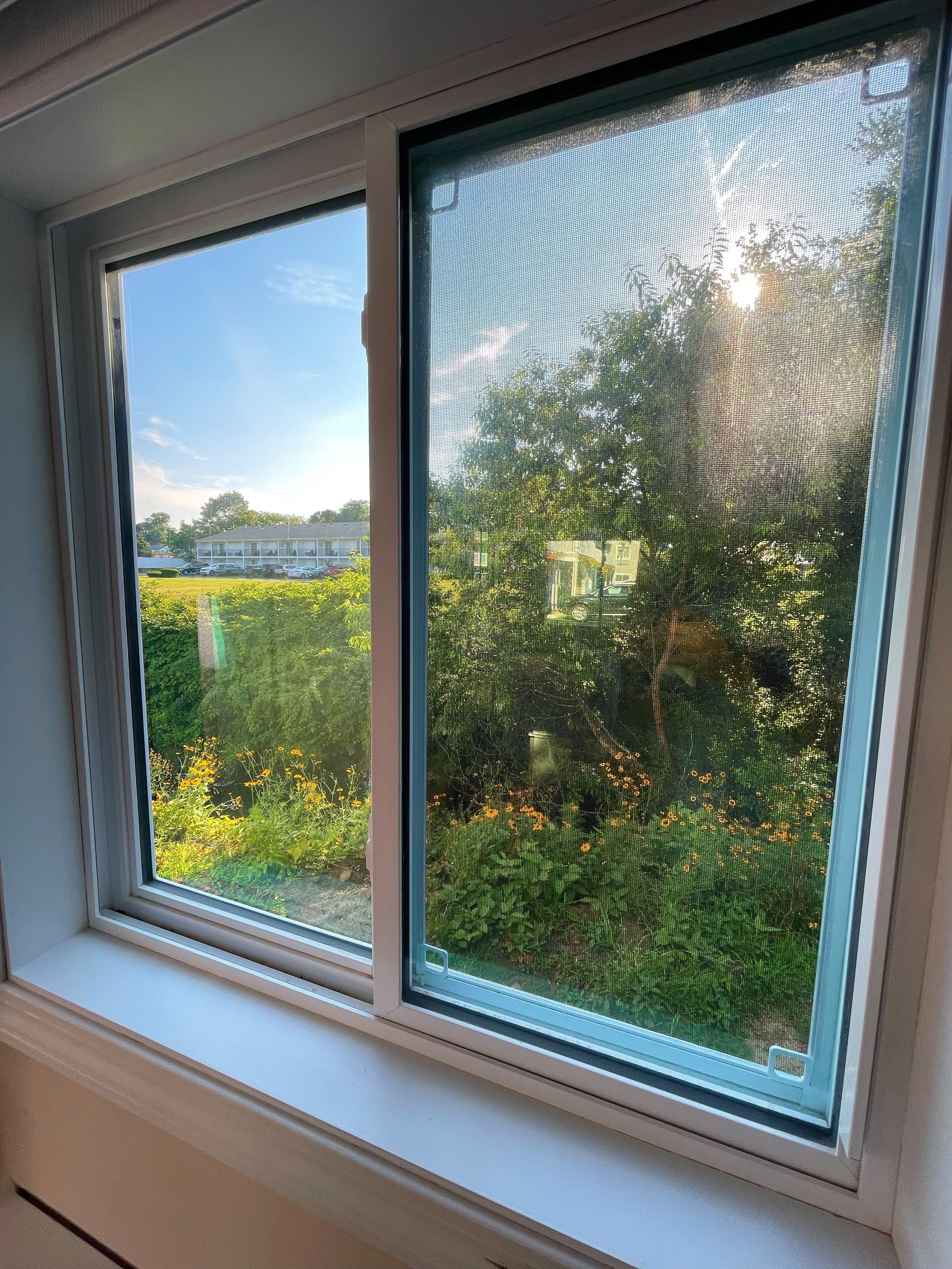 Una ventana con vistas a un jardín y un edificio al fondo.