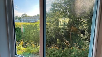 Una ventana con vistas a un jardín y un edificio al fondo.