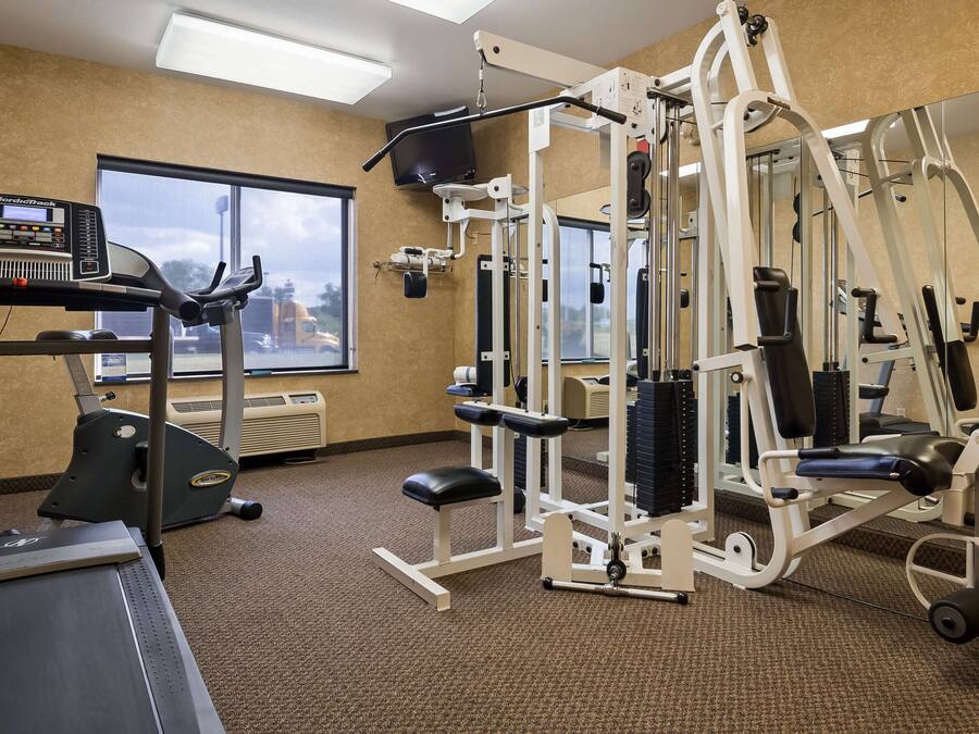 Una palestra con attrezzature cardio, macchinari per pesi e uno specchio a parete.