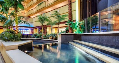Embassy Suites by Hilton Laredo