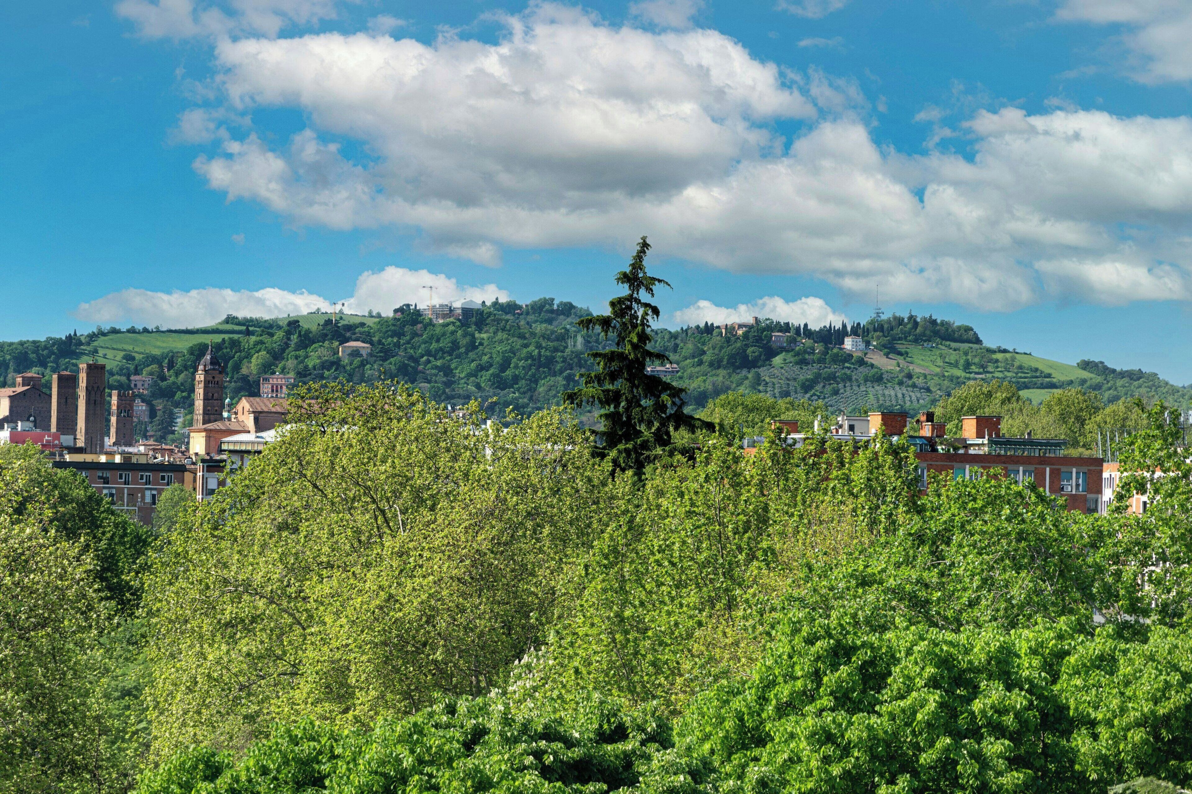 A view of a town with a hill in the background, trees in the foreground, and buildings with a mix of architectural styles.