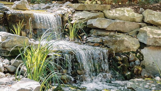 A small waterfall in a garden with rocks and plants. - Saint John's Resort (Plymouth)