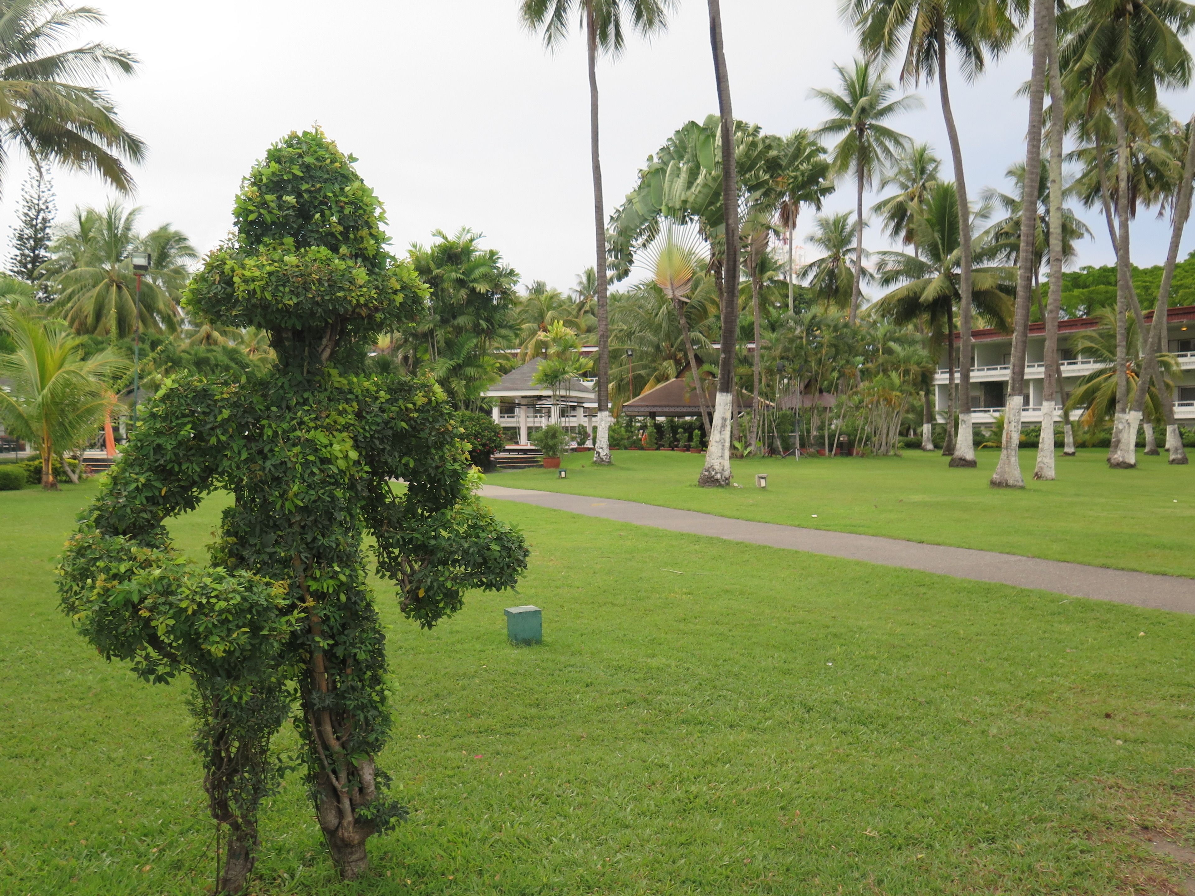 A lush green lawn with a pathway, palm trees, and a building with a red roof.